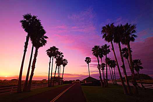 日落,上方,道路,夏威夷,美国