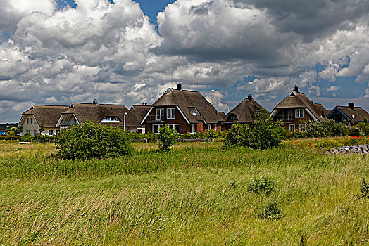 茅草屋顶,房子,波罗的海,梅克伦堡州,德国,欧洲