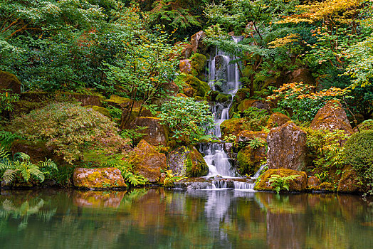 水塘,瀑布,日式庭园,波特兰,俄勒冈,美国,北美