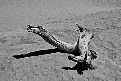 死亡谷国家公园图片