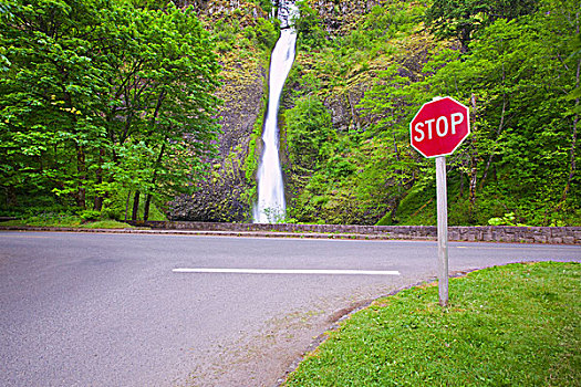 停车标志,角,道路,马尾,瀑布,哥伦比亚河峡谷国家风景区,俄勒冈,美国