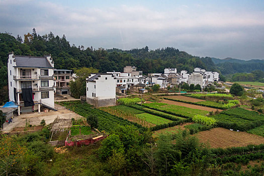 婺源乡村田园风光