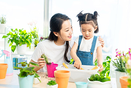 快乐的母女俩在家种植盆栽