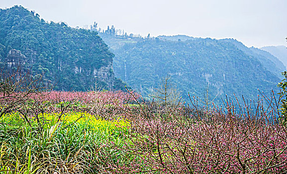 田园春色