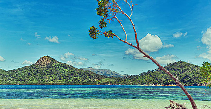 菲律宾,岛屿,漂亮,树,山,船,游客