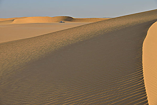 沙丘,努比亚,沙漠,北方,苏丹,非洲