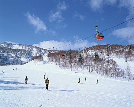 札幌,国际,滑雪胜地