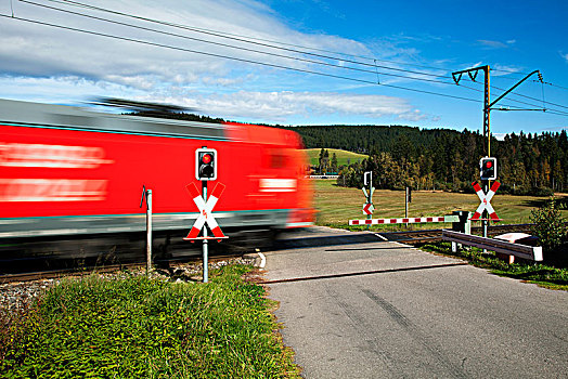 水平,穿过,列车,黑森林,巴登符腾堡,德国,欧洲