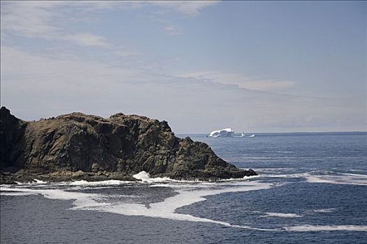 岩石,岸边,冰山,特威林盖特,纽芬兰,加拿大