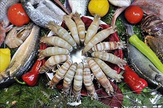 虾,售出,鱼市,伊斯坦布尔,土耳其