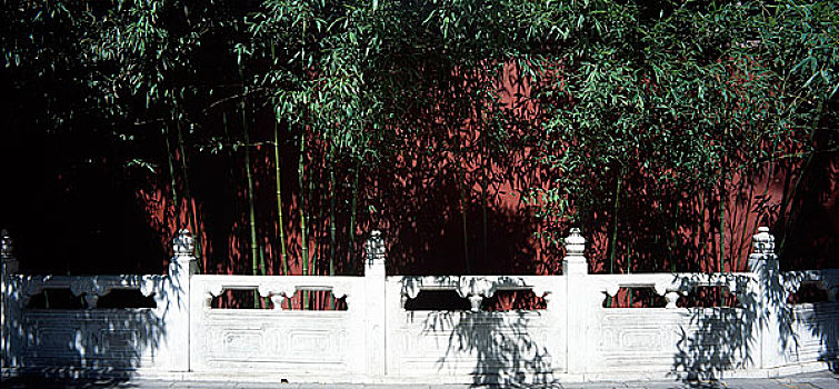红墙与翠竹