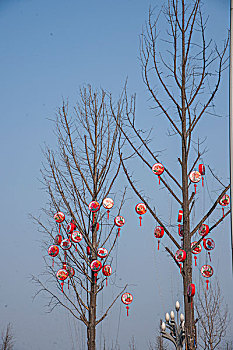 2014春节期间重庆南岸区江南大道路边树上悬挂的风鼓
