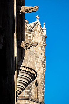 大教堂,巴塞罗那,哥特建筑风格,地区,加泰罗尼亚,西班牙