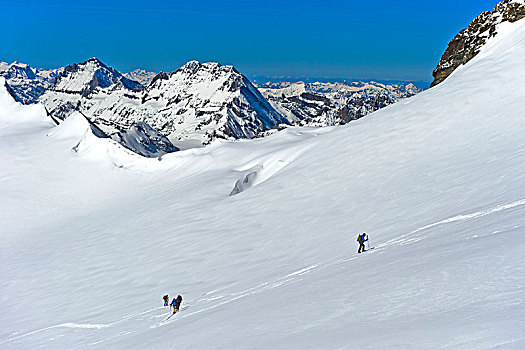 滑雪,向上,顶峰,山景,冬天,瓦莱,瑞士,欧洲