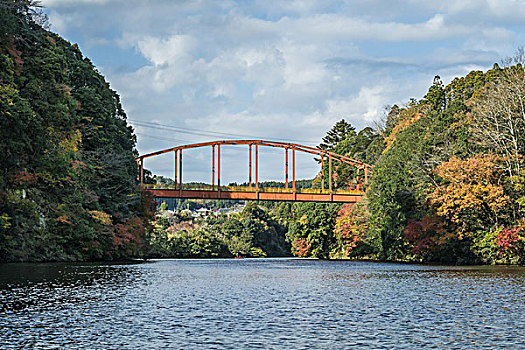 桥,秋天,千叶,日本