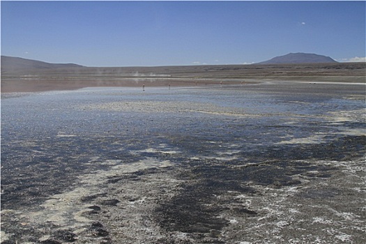 乌尤尼盐沼,玻利维亚