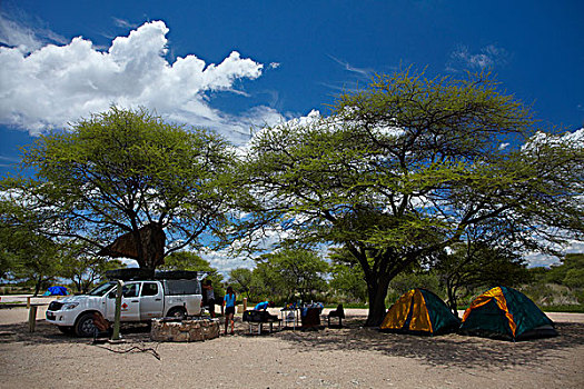 休息,露营,埃托沙国家公园,纳米比亚,非洲