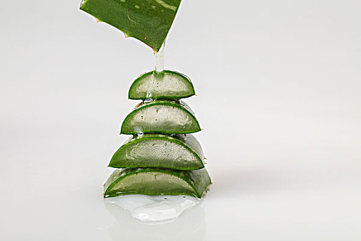 蘆薈