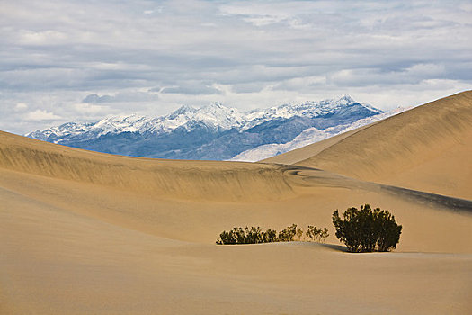马斯奎特沙丘,死亡谷国家公园,加利福尼亚,美国