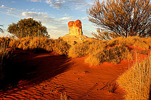历史,地标,柱子,高,砂岩,北领地州,澳大利亚