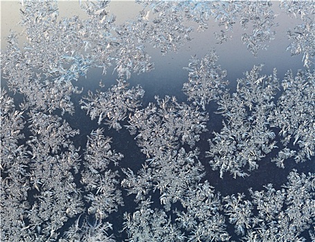 雪花,窗玻璃,早,冬天,黎明