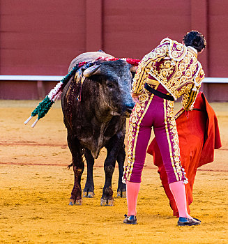 公牛,站立,正面,斗牛士,传统服装,斗牛,斗牛场,广场,塞维利亚,安达卢西亚,西班牙,欧洲