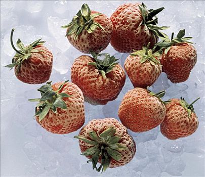 冰冻,草莓,冰