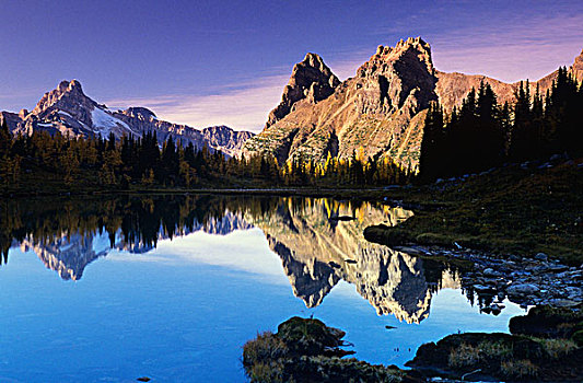 湖,幽鹤国家公园,金色,不列颠哥伦比亚省,加拿大