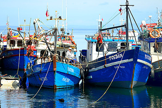 渔船,湾,波多黎各,靠近,竞技场,麦哲伦省,巴塔哥尼亚,智利,南美