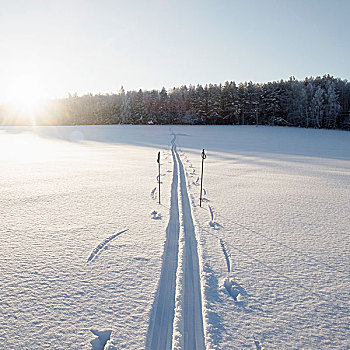 积雪,日光,风景,滑雪,滑雪杖,俄罗斯