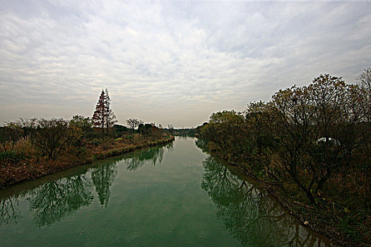 秋天杭州西溪湿地里的河道