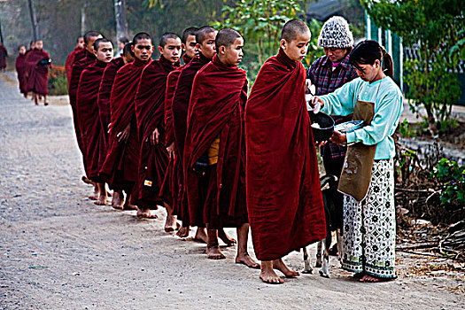 缅甸,僧侣,排列,收集,施舍