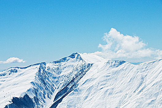 高山,雪