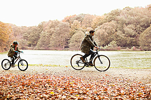 父子,骑,自行车,公园