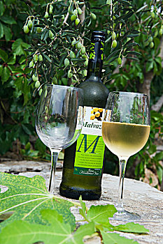 瓶子,白色,葡萄酒,玻璃,橄榄,树,岛屿,达尔马提亚,克罗地亚,欧洲