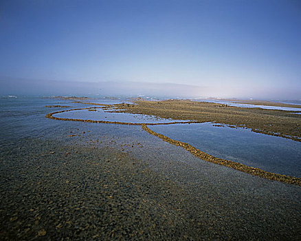 陷阱,西海角,南非