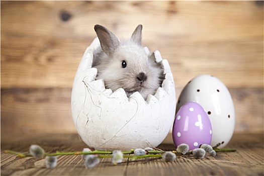 复活节兔子,蛋