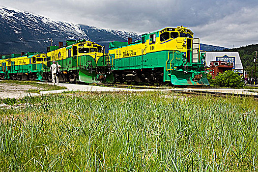 列车,轨道,白色,育空,路线,铁路,斯加格韦,阿拉斯加,美国