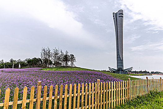 世界园林博览会,辽宁,锦州,薰衣草,花卉大观
