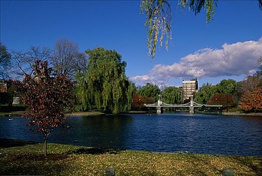 桥,花园,波士顿公共公园,波士顿,马萨诸塞,美国