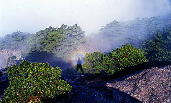 安徽,黄山,屯溪,世界遗产,佛光,佛,赤橙黄绿青蓝紫,云海,色彩,光影