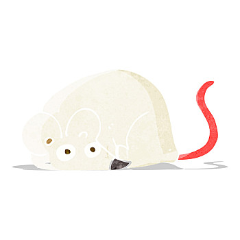 白鼠图片