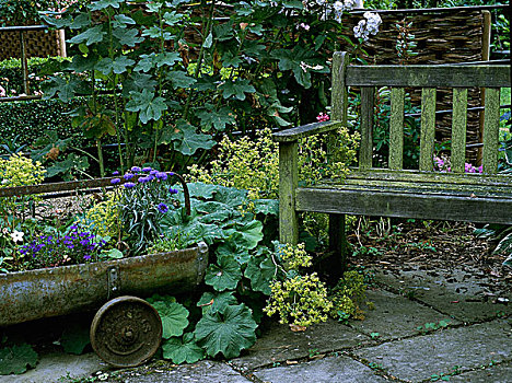 苔藓,木制长椅,石头,内庭,靠近,铸铁,槽,花