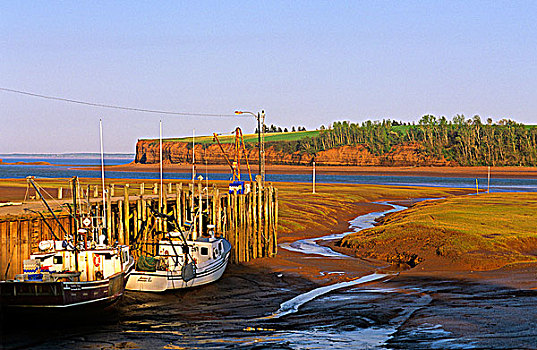 渔船,退潮,码头,芬地湾,新斯科舍省,加拿大