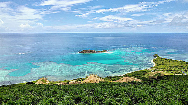 风景,岛屿,珊瑚礁,青绿色,水,斐济