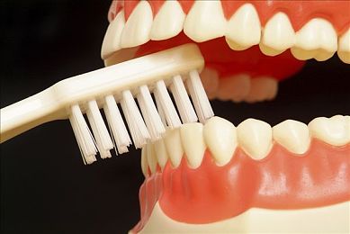 orthodontics图片