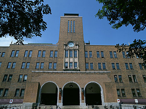 北海道,大学,农业