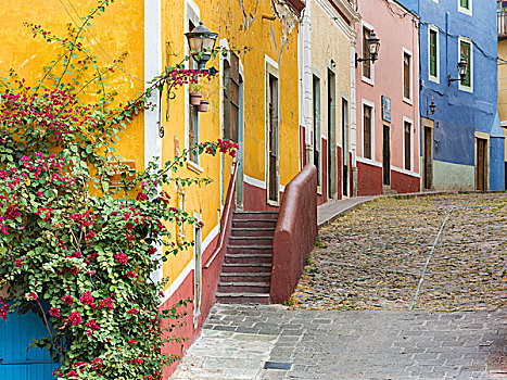 墨西哥,瓜纳华托,风景,街道,彩色,建筑,画廊
