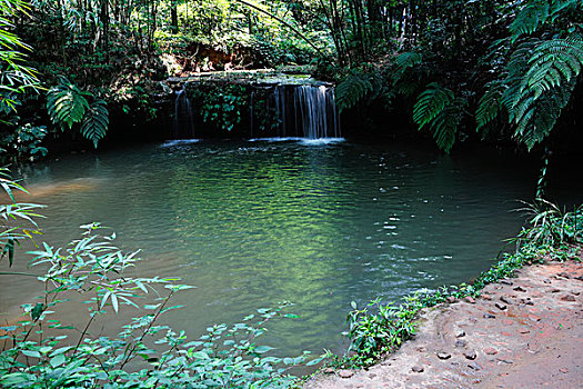 四川宜宾蜀南竹海风景