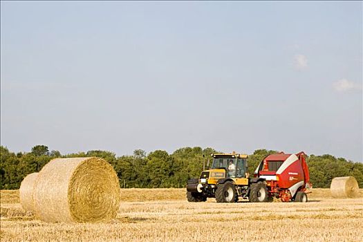 大捆,稻草,庄稼地,巴伐利亚,德国